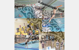 Galaquatique